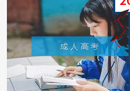重庆丛星教育信息咨询服务