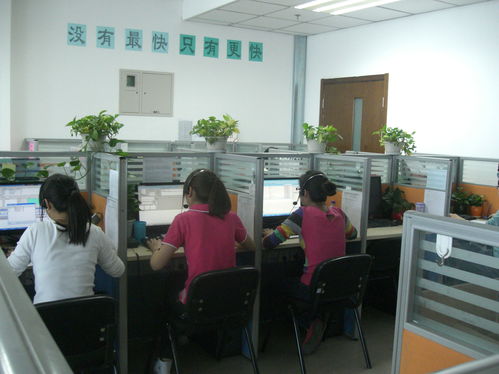 给北京各大公司招becsr咨询工程师