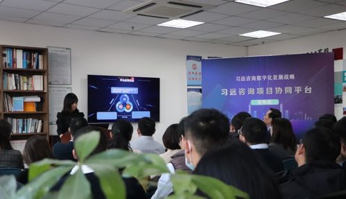 习远发布咨询项目协同平台 信息化系统实现业务全覆盖
