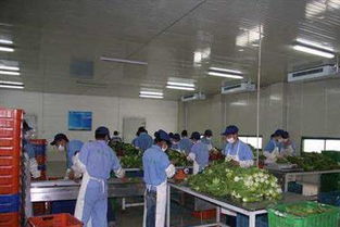 图 广州蔬菜配送食材配送工厂食堂承包同城饮食服务公司 广州生活配送