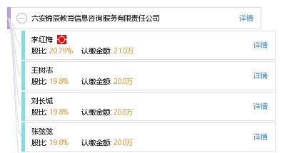 六安锦辰教育信息咨询服务有限责任公司